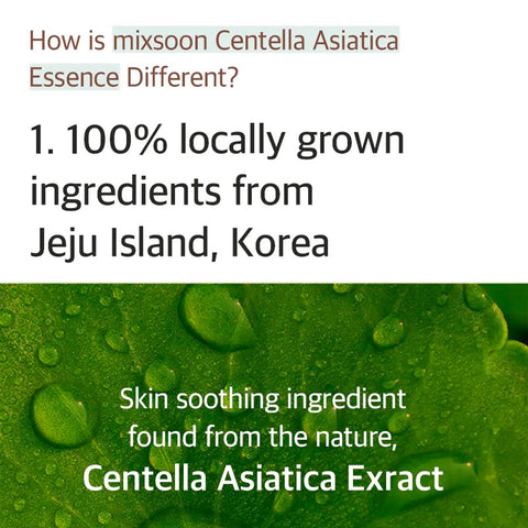 mixsoon Soondy Centella Asiatica Essence 100ml